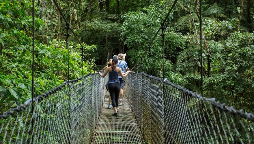 Hanging-bridges-in-Mistico-Park-